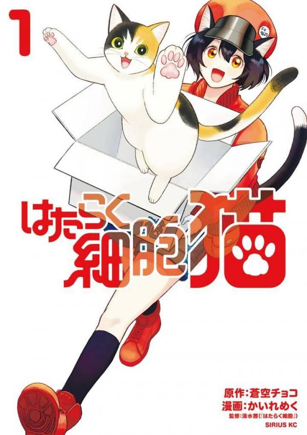 Hataraku Saibou Neko